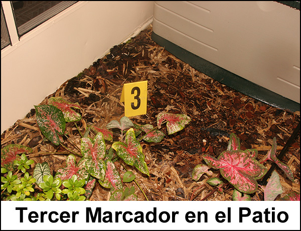 03-06