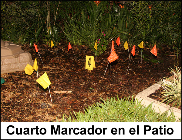 03-07