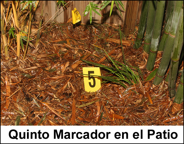 03-08